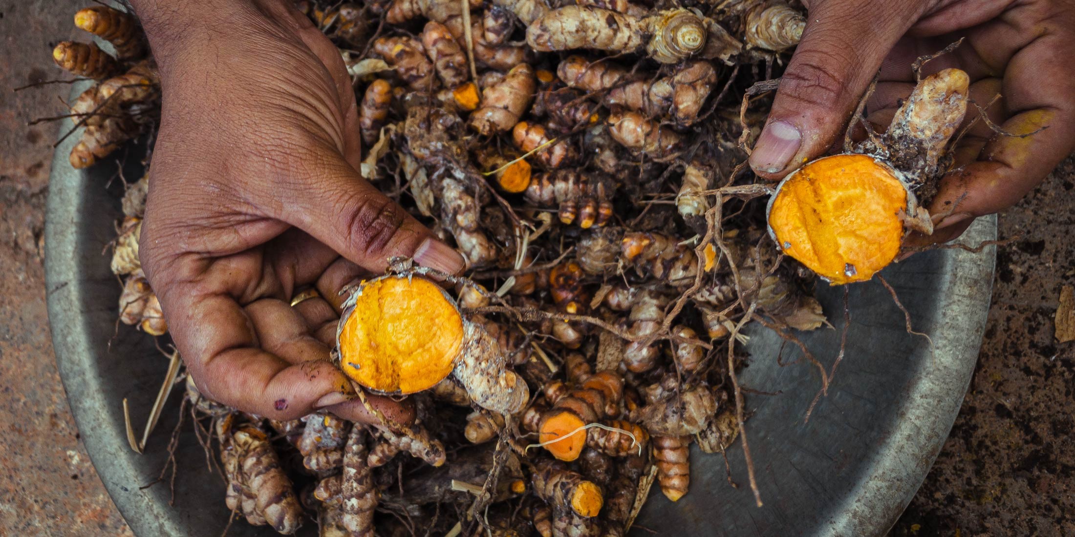 Turmeric