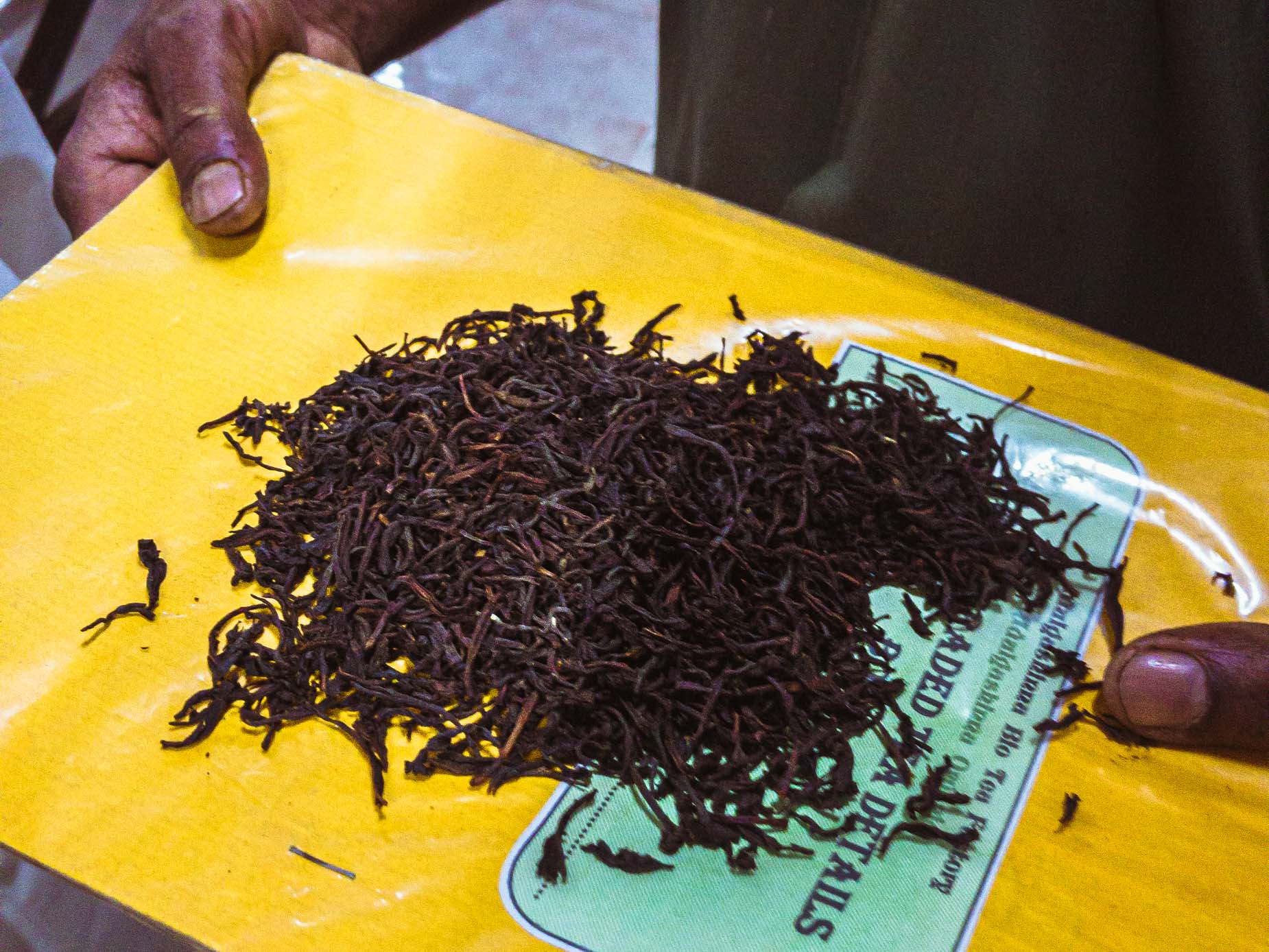 Une visite d’un domaine de thé en biodynamie, en train entre les crêtes brumeuses au cœur des montagnes au Sri Lanka Une visite d’un domaine de thé en biodynamie, en train entre les crêtes brumeuses au cœur des montagnes au Sri Lanka
