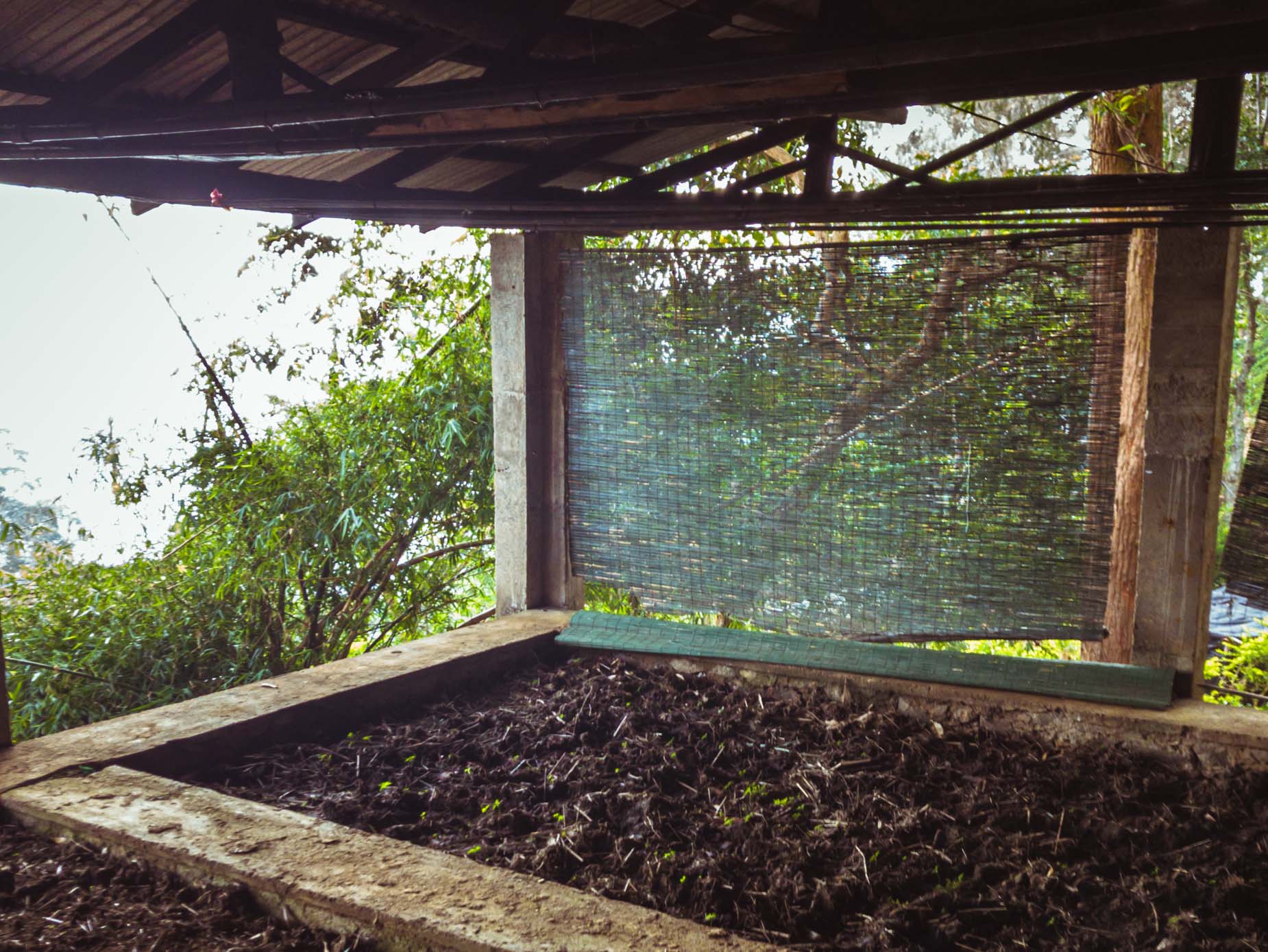 Une visite d’un domaine de thé en biodynamie, en train entre les crêtes brumeuses au cœur des montagnes au Sri Lanka Une visite d’un domaine de thé en biodynamie, en train entre les crêtes brumeuses au cœur des montagnes au Sri Lanka