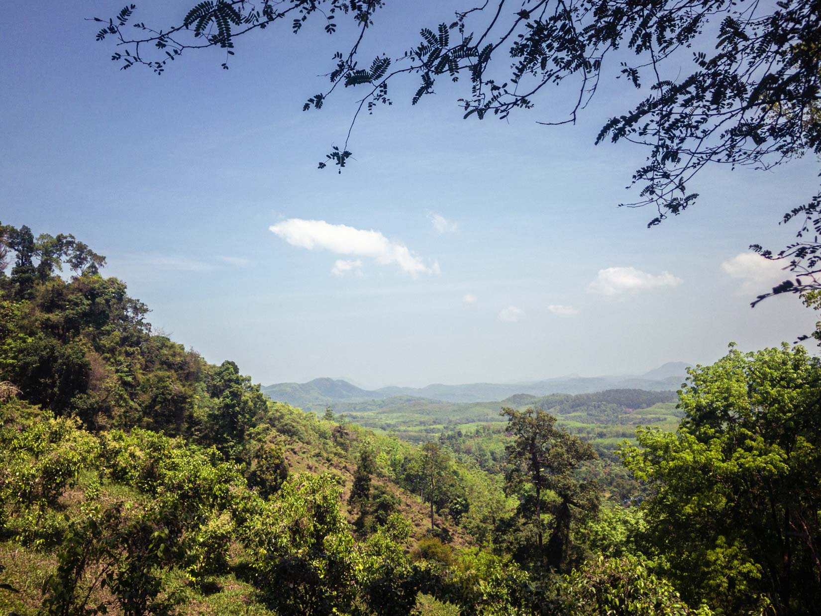 LA meilleure cannelle de Ceylan se trouve sur une colline au cœur d’une nature intacte LA meilleure cannelle de Ceylan se trouve sur une colline au cœur d’une nature intacte